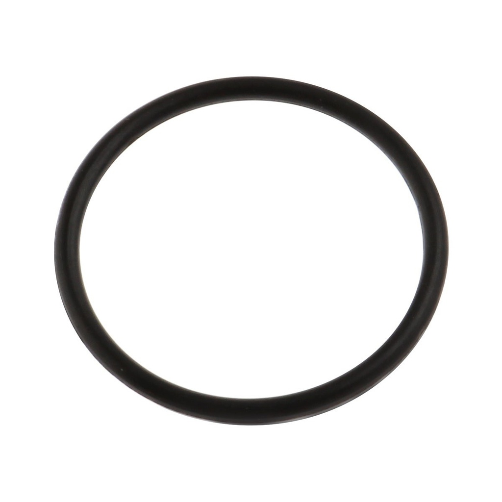 O-RING D=21 d=1.6 VORT-X 300