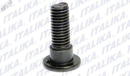 TORNILLO DISCO DE FRENO M8 X25 RC150 GT, 250Z