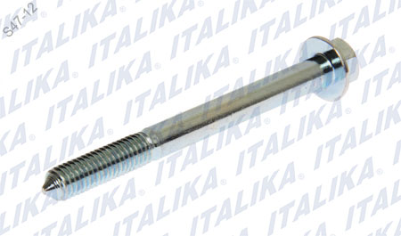 TORNILLO PARRILLA, SPORT FT125 SPORT, XFT125, FT125 NEW SPORT, FT125 CLASICA, FT125 CHAKARERA