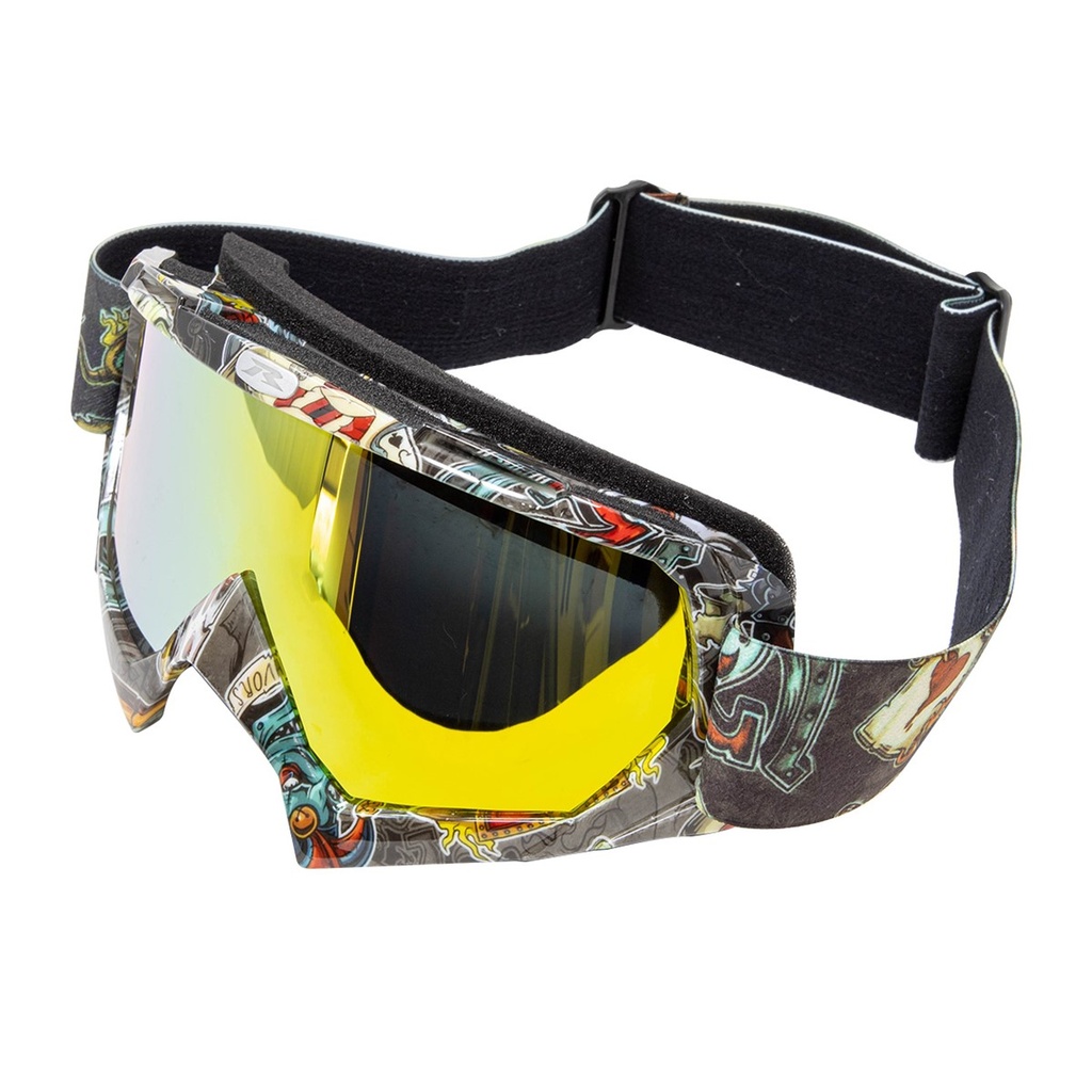 GOGGLE R013 DADOS