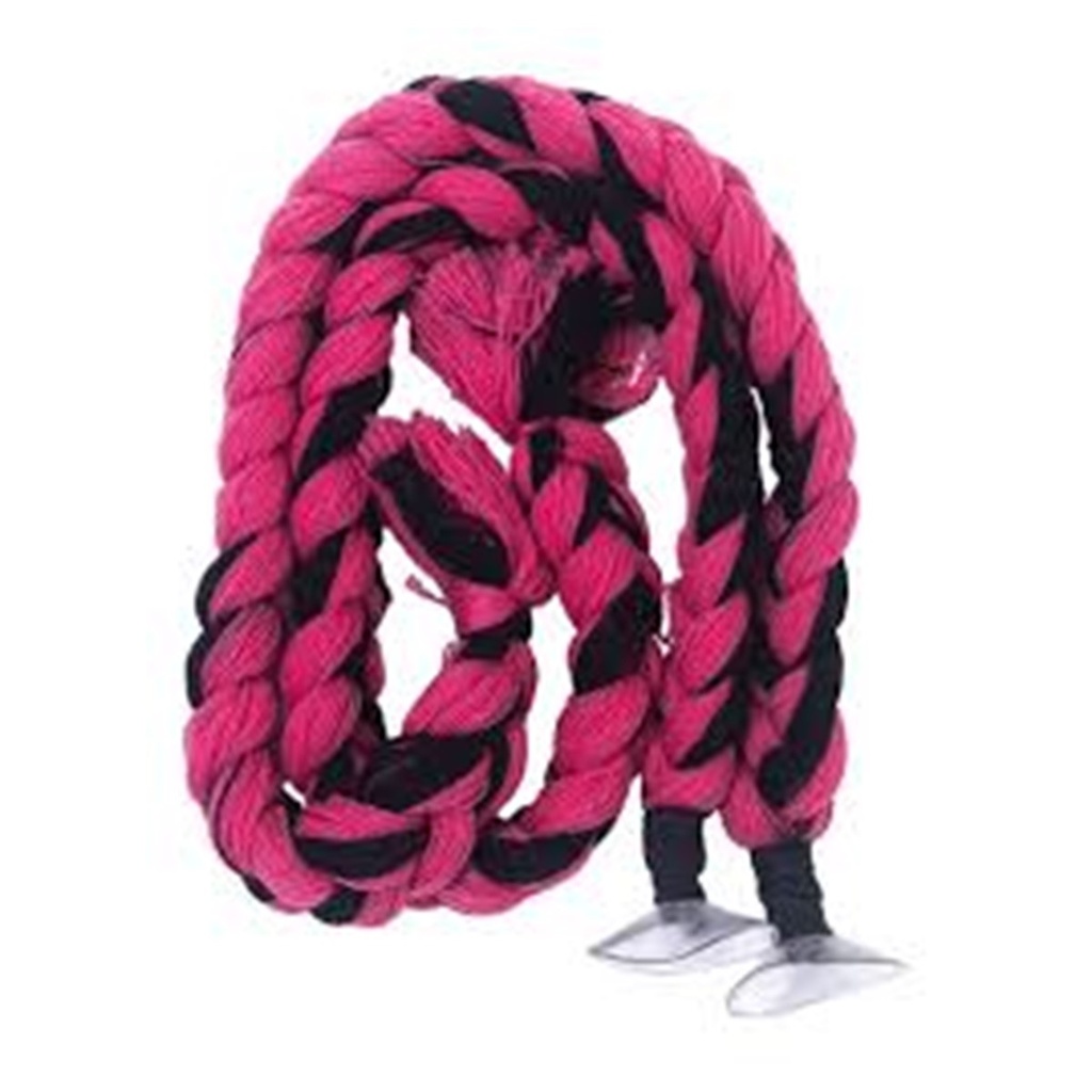 ISP COLETAS TRENZADAS FUCSIA