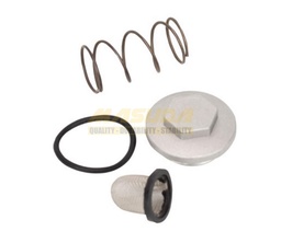 [TAP-2602-0012] KIT TAPON DRENADO CON RING PARA FT125/FT150