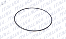 [E02030115] O-RING D=75 d=2.5 FT250 2016