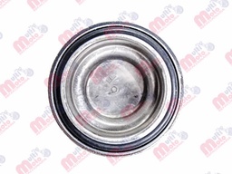 [TAP-2606-0002] TAPON DE ACEITE FT125/FT150/CG125