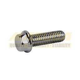 [TOR-6701-0009] TORNILLO ALTA CALIDAD CROMADO P/MOTOR M6*20