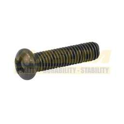 [TOR-6701-0072] TORNILLO CON CABEZA REDONDA PHILLIPS VERDE M5*20