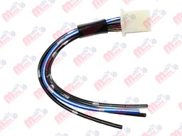 [CON-2203-0004] CONECTOR PARA CDI SCOOTER CS125/DS125